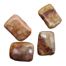 Load image into Gallery viewer, Fossilized Coral Rectangle Pendant Beads | 24x17x7mm | Red, Brown | 4 Beads |