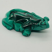 Load image into Gallery viewer, Malachite 53g Gemstone Carving Frog Figurine | 1 Specimen |