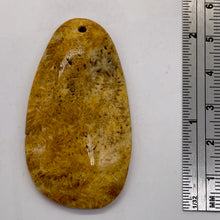 Load image into Gallery viewer, Fossilized Coral Teardrop Pendant Bead | 53x29x7mm | Orange Beige |