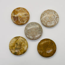Load image into Gallery viewer, 1 Fossilized Coral 35mm Coin Pendant Bead 9156