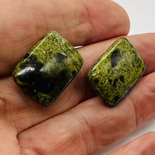 Load image into Gallery viewer, Rare 2 Reptile Russian Jasper 25x18mm Pendant Beads 008346