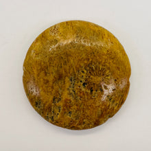 Load image into Gallery viewer, 1 Fossilized Coral 35mm Coin Pendant Bead 9156