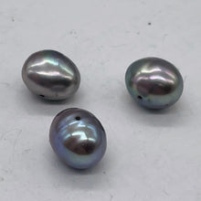 Load image into Gallery viewer, 3 Huge Icy Harvest Moon Freshwater Pearls 002262