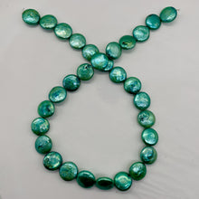 Load image into Gallery viewer, Minty Green 12 to 13mm Freshwater Coin Pearl Strand 109442