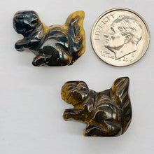 Load image into Gallery viewer, Nuts 2 Hand Carved Animal Tigereye Squirrel Beads | 22x15x10mm | Golden Brown