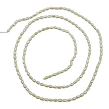 Load image into Gallery viewer, Creamy 2-2.5x1.5mm Seed Pearl Strand 103448