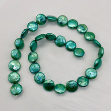 Load image into Gallery viewer, Minty Green 12 to 13mm Freshwater Coin Pearl Strand 109442