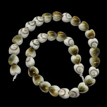 Load image into Gallery viewer, Shiva Shell Half Strand Heart Cut Beads | 6x3mm | White, Tan | 35 Beads