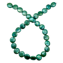 Load image into Gallery viewer, Minty Green 12 to 13mm Freshwater Coin Pearl Strand 109442