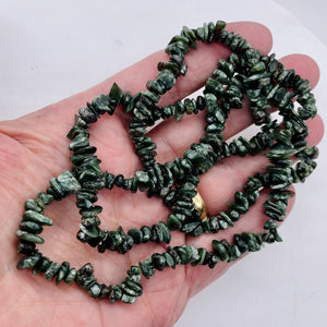 Seraphinite Bead Strand | Chip | 11x8x5 to 7x5x4mm | Green Silver | 200 Beads |