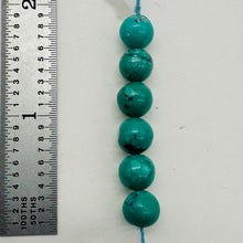 Load image into Gallery viewer, Turquoise Round Beads Parcel | 8mm | Blue | 6 Beads |