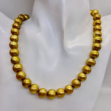 Load image into Gallery viewer, Golden Horizons Big 9 to 11mm FW Pearl Strand 109060