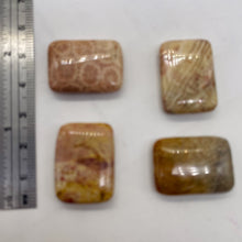 Load image into Gallery viewer, Fossilized Coral Rectangle Pendant Beads | 24x17x7mm | Red, Brown | 4 Beads |