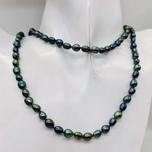 Load image into Gallery viewer, Fresh Water Rainbow Pearl Hand-Knotted Necklace |32" Long | Blue Purple Gold |