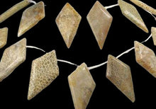 Load image into Gallery viewer, Pre-Cambrian Era Fossilized Coral Briolette Bead Strand 109171