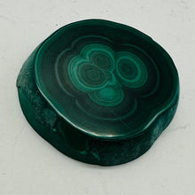 Load image into Gallery viewer, Malachite 36g Polished Round Stalactite Slice | 43x3=x8mm | Green | 1 Specimen |