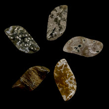 Load image into Gallery viewer, Ocean Jasper Wavy Pendant Beads - Assorted Colors 31x16x5mm 6857E