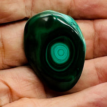 Load image into Gallery viewer, Malachite 26g Polished FreeForm Gemstone| 37x27x15mm | Green | Display Specimen|