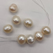 Load image into Gallery viewer, Natural Rich Cream Pink Fresh Water Pearl Parcel | 9 to 10mm | 8 Pearls |