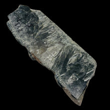 Load image into Gallery viewer, Seraphanite Incredible Large Freeform Mineral Specimen| 6x2x1/2"| Green, Silver|