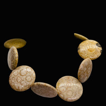 Load image into Gallery viewer, Fossilized Coral 35mm Coin Pendant Bead Strand 109156