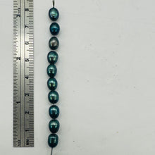 Load image into Gallery viewer, Fresh Water Perfect Beauties Pearl Parcel | 8x6mm|Midnight Ocean Blue|10 Pearls|