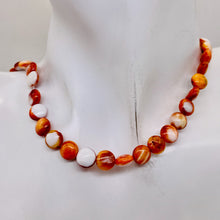 Load image into Gallery viewer, Spiny Oyster Flat Round Half Strand Beads | 8x4mm | Orange White | 25 Beads |