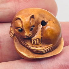 Load image into Gallery viewer, Carved Boxwood Kitty Cat On Clam Shell Ojime/Netsuke Bead | 24x21.5x22mm | Brown