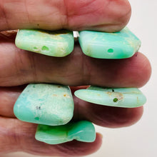 Load image into Gallery viewer, Designer Natural Chrysoprase Beads | 212cts! | 35x20x4 to 34x24x7mm | 5 Beads |
