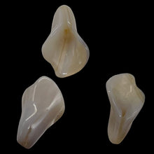 Load image into Gallery viewer, Chalcedony Calla Lily Flower Beads | 22x11x2.5mm to 27x11x2mm | White | 3 Beads|