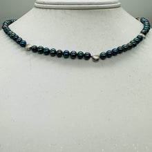 Load image into Gallery viewer, Dramatic Blue Rainbow Peacock Freshwater Pearl Sterling Silver 20" Necklace
