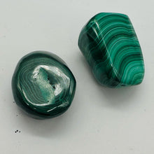 Load image into Gallery viewer, Malachite Polished Gemstone Nugget | 37x25 to 25x17mm|Green| 2 Display Specimen|