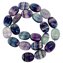 Load image into Gallery viewer, Natural AAA Fluorite 16" Strand | 18x13x9 | Oval | Purple Blue Green| 22 Beads |