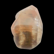 Load image into Gallery viewer, Fossilized Wood Irregular Flat Briolette| 47x40x7mm|Orange/Black| 1 Pendant Bead
