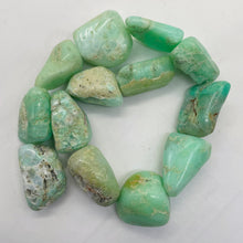 Load image into Gallery viewer, Designer Natural Chrysoprase Nugget Bead 229g Strand |32x26x9mm to 27x23x16mm|