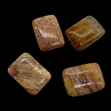 Load image into Gallery viewer, Fossilized Coral Rectangle Pendant Beads | 24x17x7mm | Red, Brown | 4 Beads |