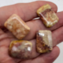 Load image into Gallery viewer, Fossilized Coral Rectangle Pendant Beads | 24x17x7mm | Red, Brown | 4 Beads |