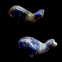 Load image into Gallery viewer, Carved Animals 2 Sodalite Whale Beads | 20x13x11mm | Blue white