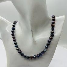 Load image into Gallery viewer, Dramatic Rainbow Peacock Freshwater Pearl Sterling Silver Necklace 20 inch 9808