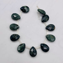 Load image into Gallery viewer, Kambaba Jasper Faceted Briolette Bead 8 inch Strand 7304HS