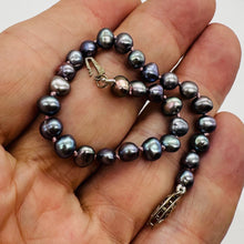 Load image into Gallery viewer, Blue Peacock Baroque Pearl Bracelet with Sterling Silver Clasp | 7" Length |