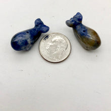 Load image into Gallery viewer, Carved Animal Sodalite Whale Figurine Worry Stone | 20x13x11mm | Blue white