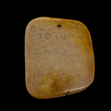 Load image into Gallery viewer, Coral Fossilized with Tiny Critters Pendant Bead | 45x38x8mm | 1 Bead |