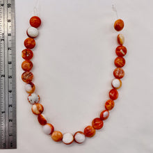 Load image into Gallery viewer, Spiny Oyster Flat Round Half Strand Beads | 8x4mm | Orange White | 25 Beads |