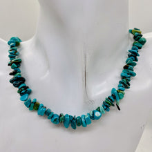 Load image into Gallery viewer, Turquoise Small Nugget Strand | 10x5x4 - 5x2x3mm | Blue | 300 Beads |
