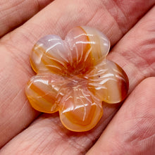 Load image into Gallery viewer, Plumeria! Carved Carnelian Hawaiian Flower Bead | Orange | 25x6mm | 1 Bead |