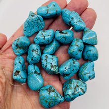 Load image into Gallery viewer, Turquoise Howlite 31x18 to 14x16mm Bead Strand 110171A