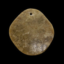 Load image into Gallery viewer, Coral Fossilized with Tiny Critters Pendant Bead | 46x43x8mm | 1 Bead |