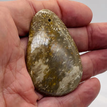 Load image into Gallery viewer, Fossilized Coral Teardrop Pendant Bead | 60x42x8 | Gray White | 1 Bead |