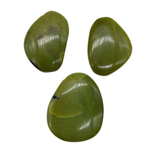 Load image into Gallery viewer, Turquoise Faustite Freeform Beads| 38x28 to 33x24mm| Chartreuse, Black| 3 Beads|